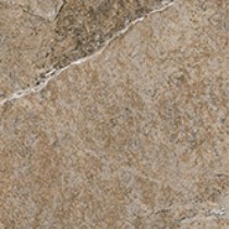 Cerdomus Dynasty 0060214 Forest-3