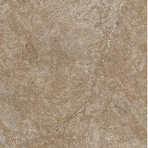 Cerdomus Dynasty 0060224 Forest