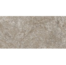 Cerdomus Dynasty 0060220 Grey-2