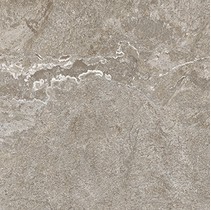 Cerdomus Dynasty 0060225 Grey