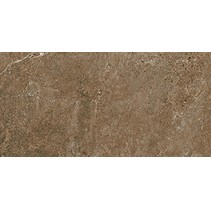 Cerdomus Dynasty 0060221 Rust-2