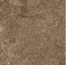 Cerdomus Dynasty 0060226 Rust