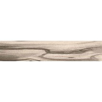 Cerdomus Epic 0060379 Camel Ret 1