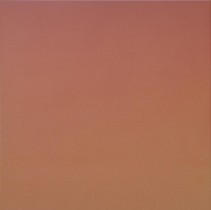 Cerrad Kalahari 5289