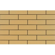 Настенная плитка Cerrad Piaskowa/Sandy 9669