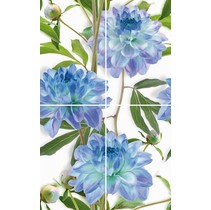 Cerrol Bellini Komplet-4 Bellini Azul (комп х4)