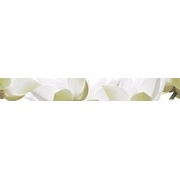 Бордюр Cerrol City White Lilies listwa