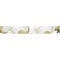 Cerrol City White Lilies listwa