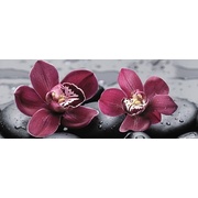 Декор Cerrol City Orchid Centro