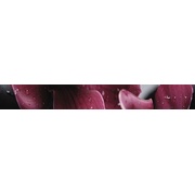 Бордюр Cerrol City Orchid Listwa