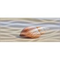 Cerrol Durango Playa A Centro Wave (одна ракушка)
