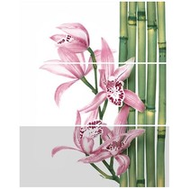 Cerrol Formula Canas De Bambu-3 (комп х3)