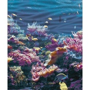 Панно Cerrol Formula Coralino-3 A Wave (комп х3)