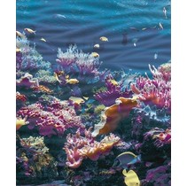 Cerrol Formula Coralino-3 A Wave (комп х3)