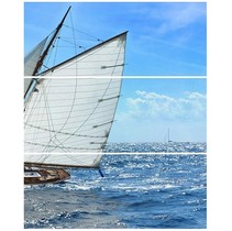 Cerrol Formula Regatta-3 B (комп х3)