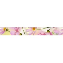 Cerrol Formula Flores Listwa