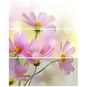Панно Cerrol Formula Flores-3 (Комп х3)