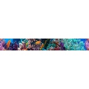 Бордюр Cerrol Formula Coralino Listwa