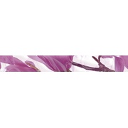 Бордюр Cerrol Imperia Listwa Magnolia