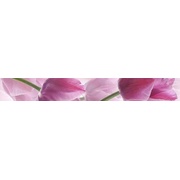 Бордюр Cerrol Imperia Listwa Tulipany/Tulipa