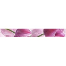 Cerrol Imperia Listwa Tulipany/Tulipa
