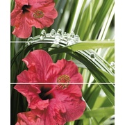 Панно Cerrol Imperia Hibiskus (комп х3)