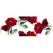 Декор Cerrol Imperia Centro Rosarium-2 (розы)