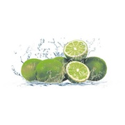 Декор Cerrol Imperia Centro Lemon-1