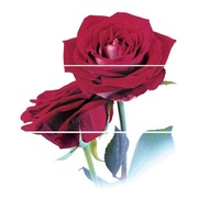 Панно Cerrol Imperia Rosarium -2 (комп х3) (розы)