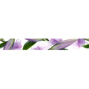 Бордюр Cerrol Imperia Listwa Violetta