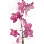 Панно Cerrol Imperia Orchis (комп х4)