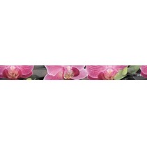 Cerrol Porto bambu and orchid Listwa