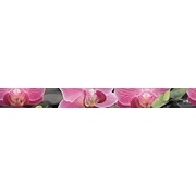 Бордюр Cerrol Porto bambu and orchid Listwa