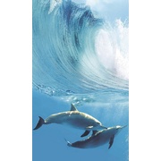 Панно Cerrol Porto dolphins Porto Dolphins А