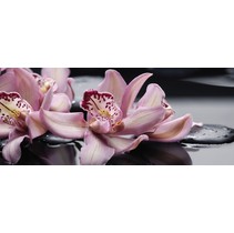 Cerrol Porto Orchid Lila Porto "Orchide lila"