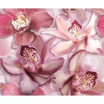 Cerrol Porto Spa Porto Flowers "Orchide lila"