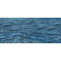 Cerrol Porto Tall Ship Sea Centro