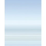 Панно Cerrol Porto Water and Stones Porto Water and Swan B
