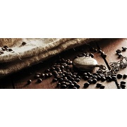 Декор Cerrol Royal Coffe Break 2 Centro