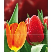 Панно Cerrol Royal Syntia Tulip А (3пл)