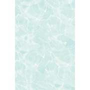 Настенная плитка Cersanit Aqua Zefir (U-AQU-WTK041)