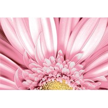 Cersanit Aster Вставка Многоцветный AE2N451DT