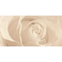 Cersanit Effecta Beige (O-EFF-WIE011)