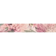 Бордюр Cersanit Italian Summer Flower (O-ITS-WBE011)
