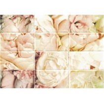 Cersanit Spring (OC2M011DT) Розы 1