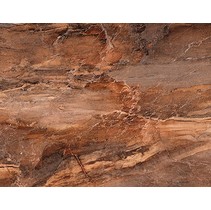 Cersanit Trevi Коричневая (TYN111D)
