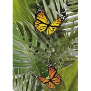 Декор Cersanit Tropicana TC2M021DT