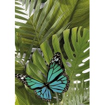 Cersanit Tropicana (TC2M022DT)