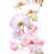 Декор Cersanit Tropicana Orchids (TC2M051DT)