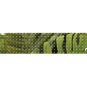 Бордюр Cersanit Tropicana TC1C021DT